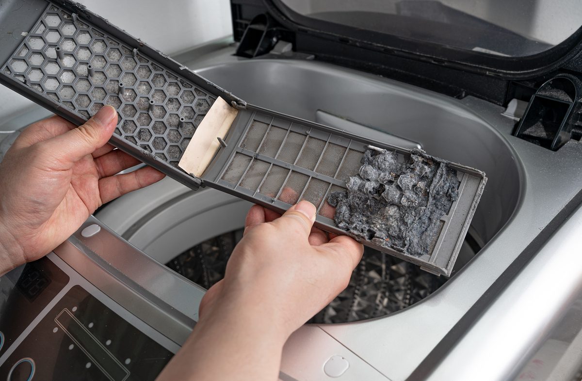 Dust and dirt trapped by the washing machine filter