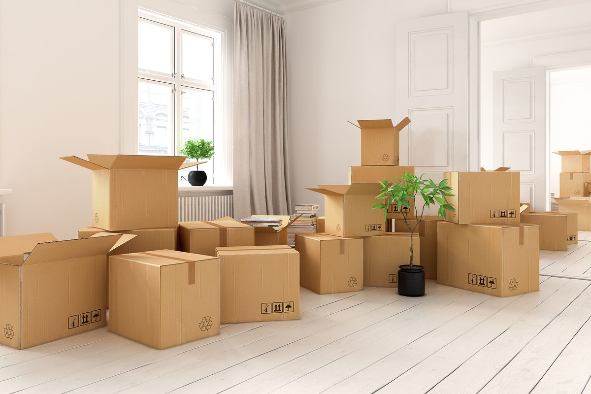 nterior with packed cardboard boxes for relocation 3 D rendering